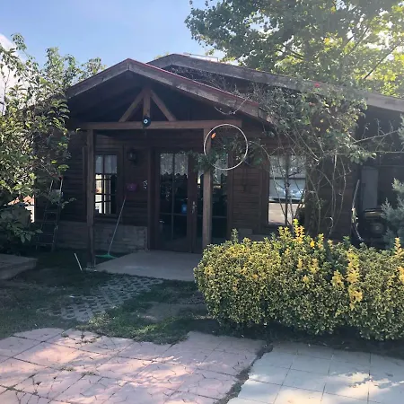 Ogun Bungalow Sapanca