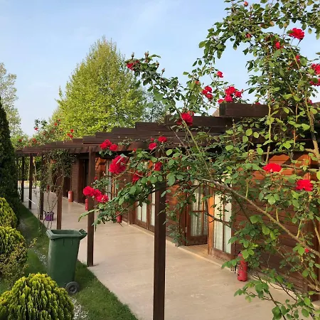 Ogun Bungalow * Sapanca