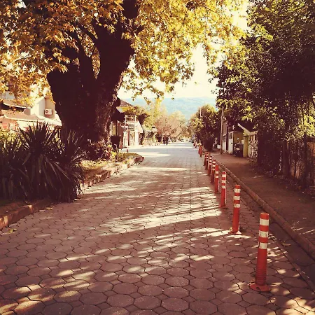 Hotel Ogun Bungalow