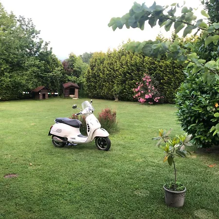 Hotel Ogun Bungalow *