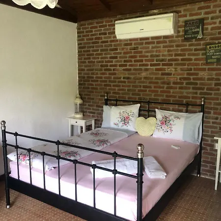 Hotel Ogun Bungalow *